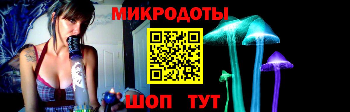 Ногинск  Галлюциногенные грибы Cubensis  Вход с VPN 
